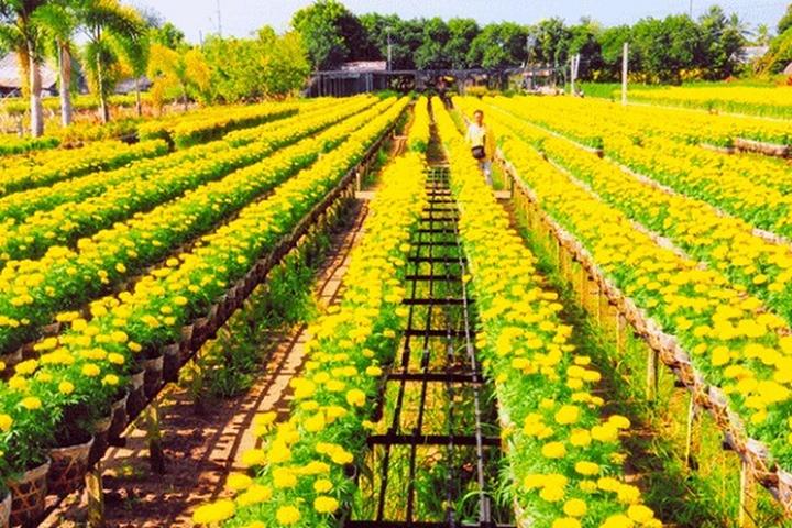 Cách Khởi Nghiệp Kiếm Tiền Bán Thời Gian Dành Cho Người Mới