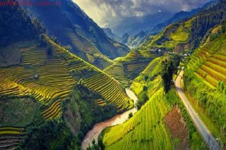 Xu hướng Mua váy hoa mà không biết 4: Hotspot Matrix tiết lộ bí quyết video viral