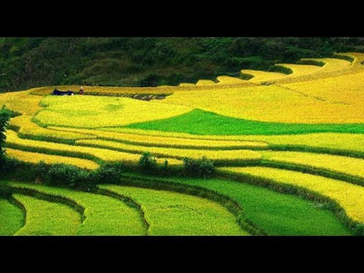 Xu hướng Những người không có gánh: Hotspot Matrix tiết lộ bí quyết video viral