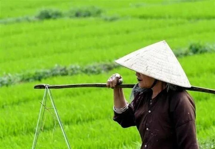 Loài cá kỳ lạ nhất châu Phi: - Cảm hứng video marketing từ Hotspot Matrix