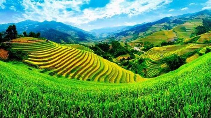 Hotspot Matrix - Nâng cao sức cạnh tranh của doanh nghiệp qua truyền thông minh