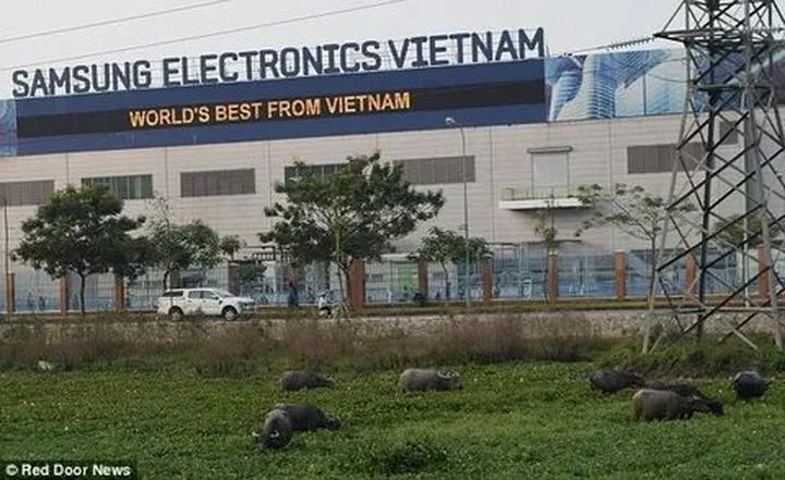 Xây dựng Thương hiệu Cá nhân và Kiếm Tiền với Hotspot Matrix