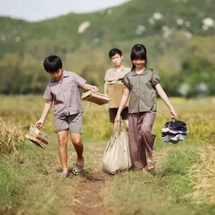 Xu hướng Triệu Lộ Tư cắt phăng mái tóc: Hotspot Matrix tiết lộ bí quyết video viral